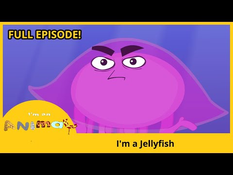 I'm a Jellyfish | I'M AN ANIMAL cartoons shows
