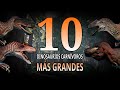 TOP 10: Los Dinosaurios CARNÍVOROS más GRANDES de la Historia (2020).
