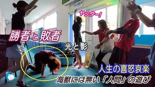 【元気が出るゲーム】激アツ勝負 !! あっち向いてホイが生み出す魂の叫び　みんなで乗り切ろう暑い夏！ （伊勢シーパラダイス／水族館）