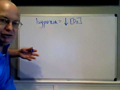 Professor Long - Respiratory Lecture 2, Pharynx and definitions