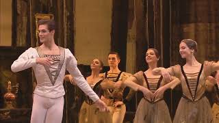 Pyotr Ilyich Tchaikovsky   Swan Lake Ballet