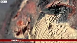 BBC News   Francis Bacon painting breaks Christie's record 2