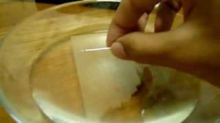 HBL PHYSICS EXPERIMENT---FLOATING NEEDLE---