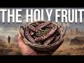 Forget Oranges. The Biblical Fruit John the Baptist Ate Has 9x More Calcium
