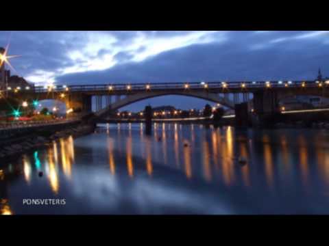 THE BRIDGES OF