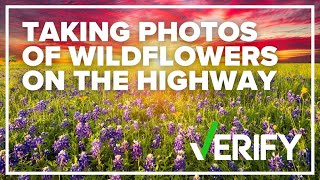 No, it is not legal to take photos of wildflowers on the highway