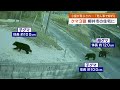 【山口】柳井市の山間部 住宅にクマが３頭出没