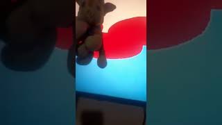 Disney Junior Fr Now Paw Patrol