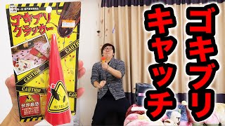 【閲覧注意】ゴキブリクラッカーのゴキブリを空中でキャッチできるかチャレンジ！
