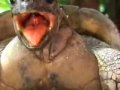 End of video
