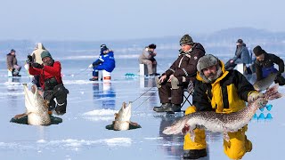 Ice Fishing - How to Giant Fish Fishing Under Ice lake