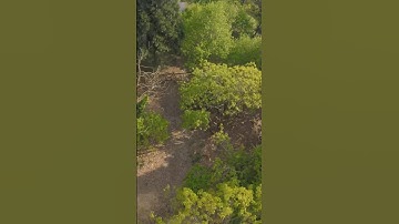 Quick rip 🤟🏻👀.             #fpv #fpvdrone #fpvfreestyle #ethix #fpvcrash #fpvlife #fpvflying