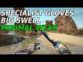 Specialist Gloves Big Swell (Minimal Wear) | CS2 Skin Showcase