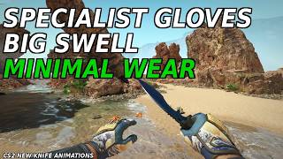 Specialist Gloves Big Swell (Minimal Wear) | CS2 Skin Showcase