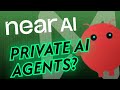 NEAR AI OpenClaw Private AI Agents Anthropic S 1 2 Year AI Warning