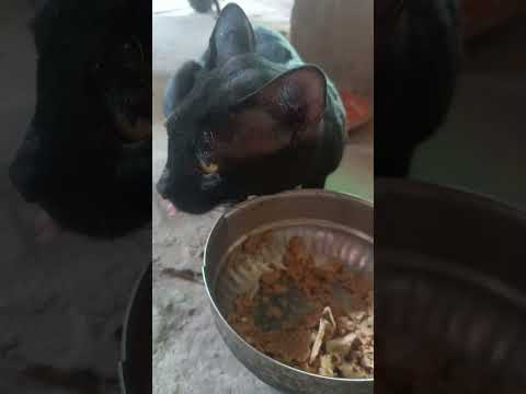 karm करते जा नारायण तुझे मिल जाएंगे