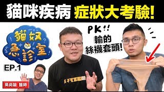 【貓咪疾病症狀大考驗輸的絲襪套頭】貓奴急診室EP.1 志銘與狸貓