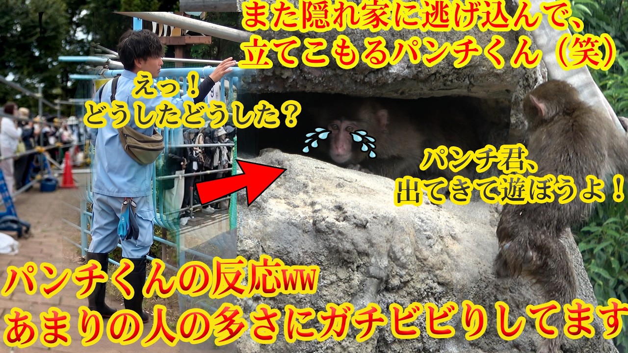 ぴんちくん YouTube