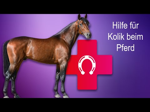 Video: Pferdekolik und Würmer