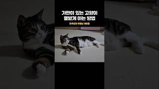 죽음의 아침 인사