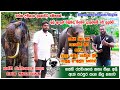 හස්තීන්ගේ පුස්තකාලය | Library of elephants |  Vlog 01 | Hasthi Ranga | හස්ති රඟ