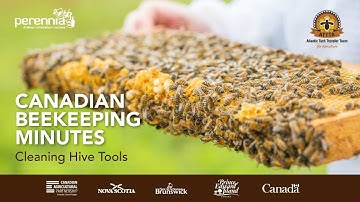 Cleaning Hive Tools