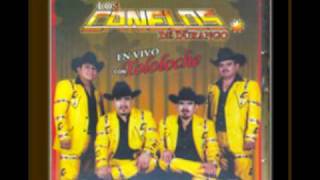 Video thumbnail of "Vida Truncada - Los Canelos de Durango"