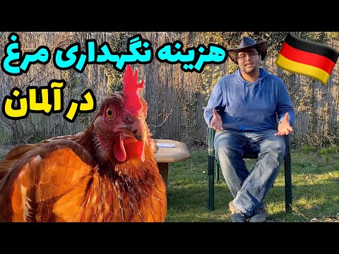 تصویری: حقوق بازنشستگی برای کارمندان دولت فدرال: شرایط انتصاب، محاسبه، اندازه. انواع حقوق بازنشستگی