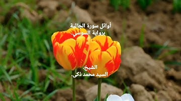 #أوائل #سورة الجاثية برواية #السوسي عن #أبي عمرو البصري #القراءات العشر #قرآن كريم