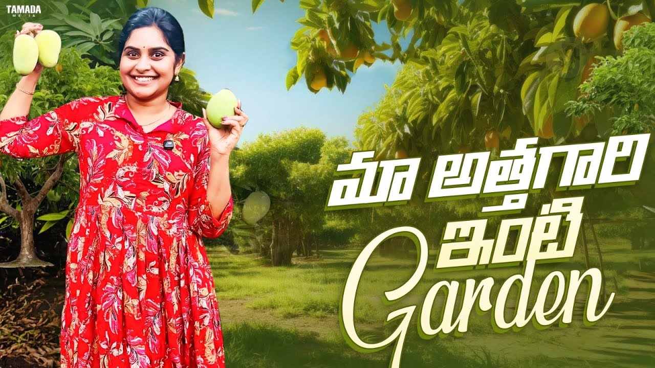 ATHAGARI GARDEN TOUR || ‪@AmericaloAmalapuramammay  || TAMADA MEDIA  #gardening #india #teluguvlogs