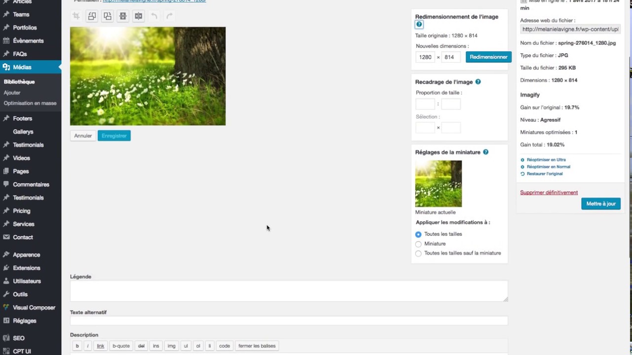 Redimensionner Une Image Sur Wordpress Youtube