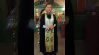 Священномученика Антипы, епископа Пергама Асийского. 24.04.2024