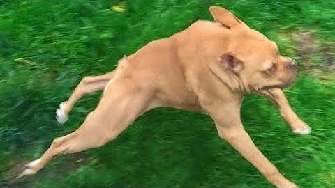 unlucky nether portal spawn-minecraft