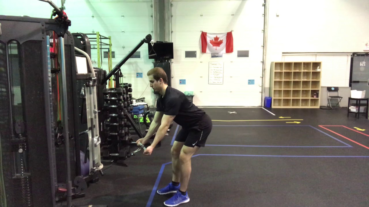 Bent Over Underhand Grip Cable Row YouTube