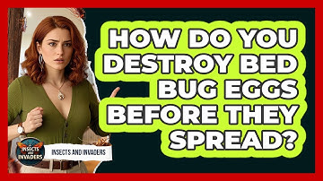 How Do You Destroy Bed Bug Eggs Before They Spread? - Insects and Invaders