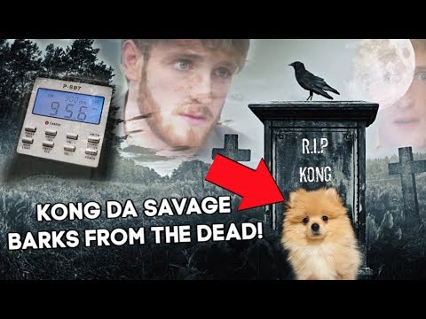 kong da savage dies