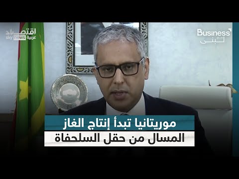 وزير الطاقة الموريتاني أول شحنة غاز مسال من حقل السلحفاة ستكون بنهاية فبراير بزنس مع لبنى