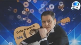 Ovidiu Komornyik - Colaj