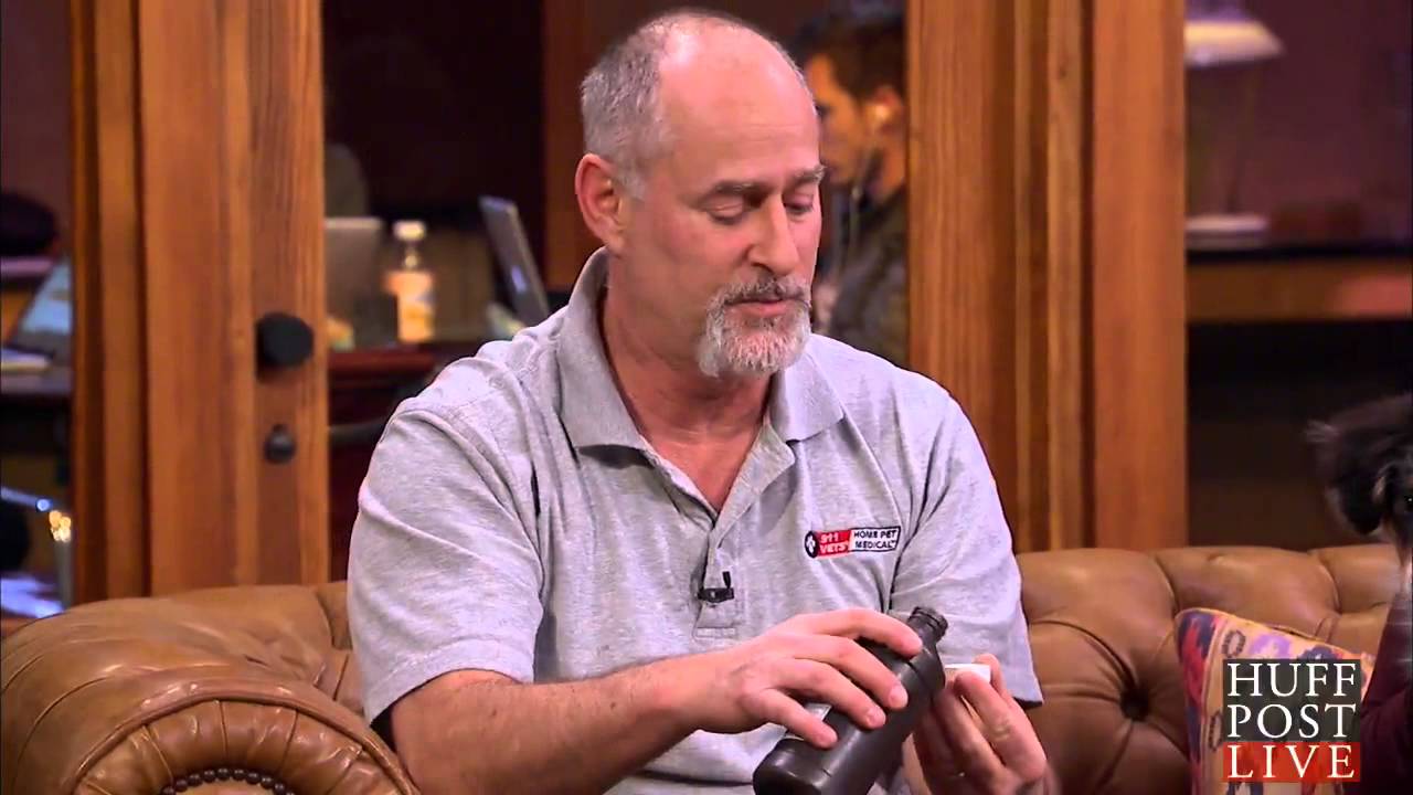 Poisoned Pets: What To Do And When To Induce Vomiting - YouTube