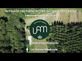 La ferme mdicale   producteur de chanvre bientre  cbd