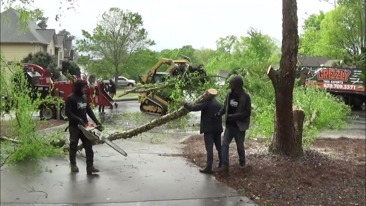 Trees Getting Cut Down Part 1 YouTube