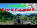 Săcărâmb - un loc unic în lume! Aici s-a descoperit Telurul ( și tone de aur) !