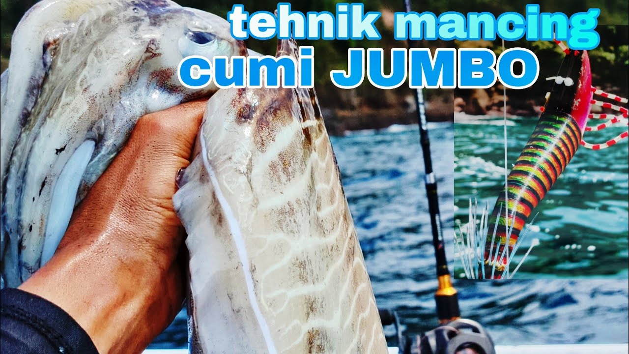 tehnik paling efektif mancing CUMI sotong||pulau KALONG