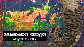Malakkapara Trip 💥 Athirapally to Malakkapara Forest Drive 💥 Malakkapara Elephants 💥 മലക്കപ്പാറ