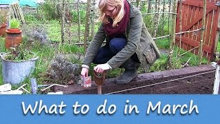 Jobs to do in the Allotment Garden - March