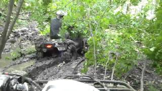 get that tree