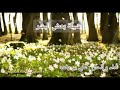 شيلة بعض البشر مع الكلمات أداء علي بن رفدة