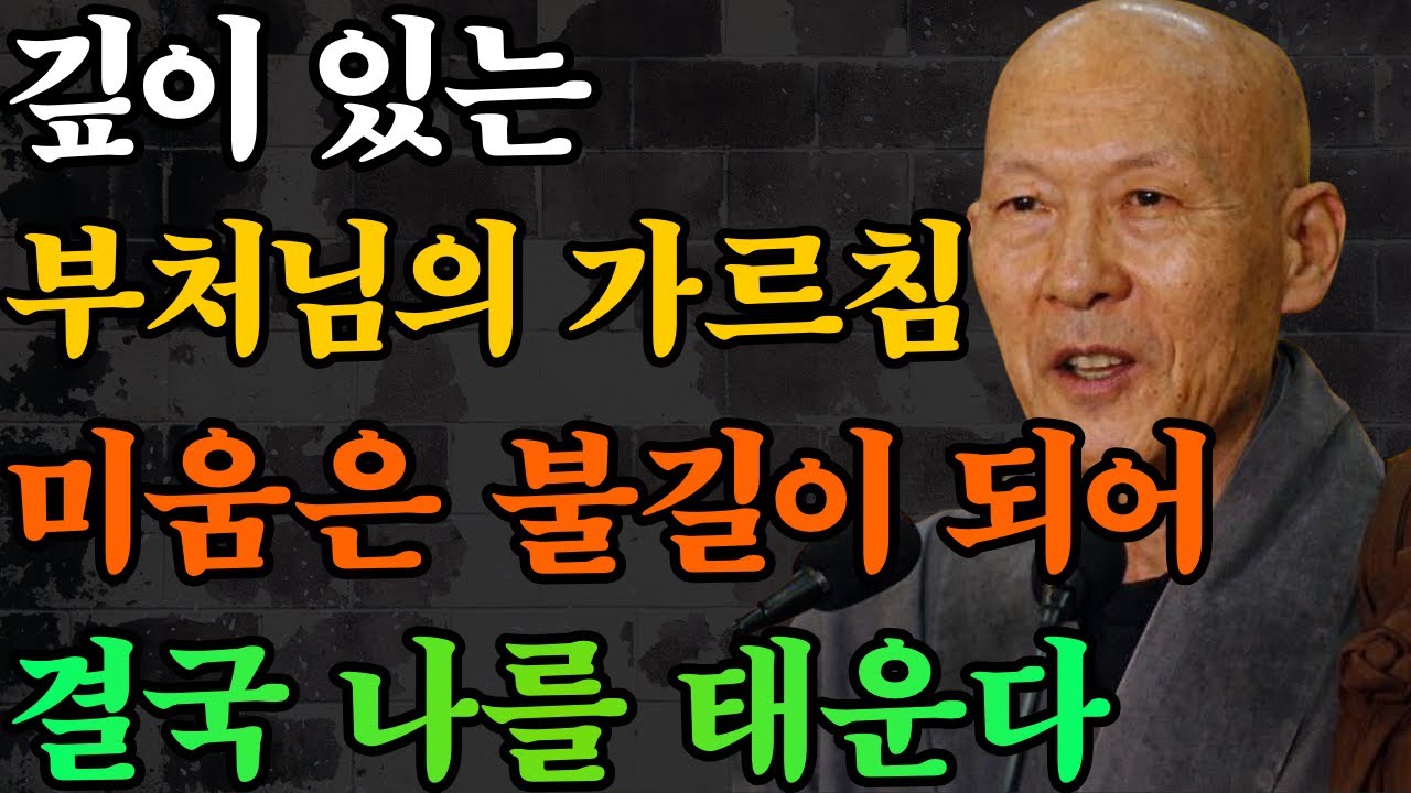깊이 있는 부처님의 가르침: “미움은 결국 자기 자신을 태우는 불길이다”