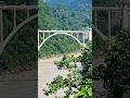 ### My past days collections From North Bengal Tour ###travel