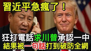Xi Jinping is frantic! He frantically calls Trump, begging him to recognize the One China princip...